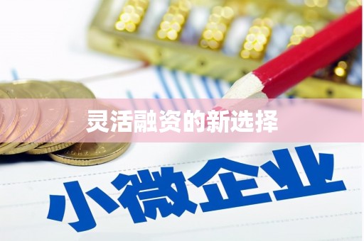 沾益灵活融资的新选择