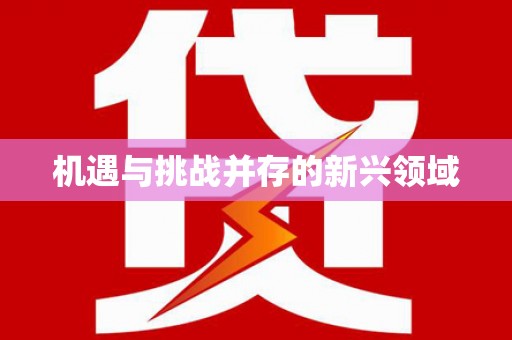 沾益机遇与挑战并存的新兴领域