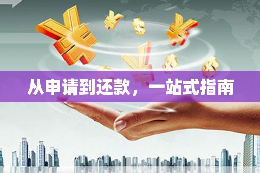 沾益从申请到还款，一站式指南