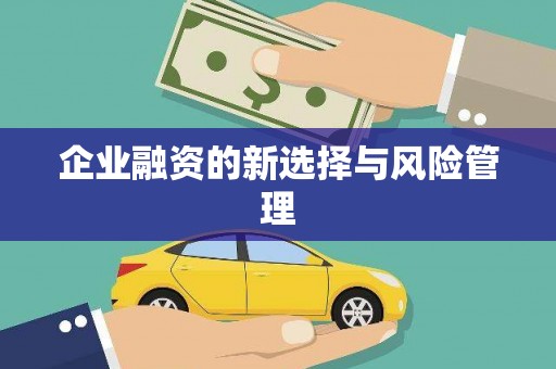 沾益企业融资的新选择与风险管理